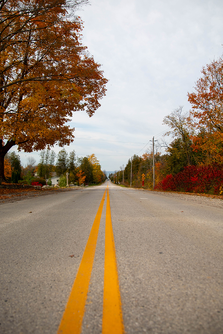 Road on a fall day