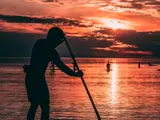 A group of stand-up paddleboarders gather at sunset on Lake Huron.