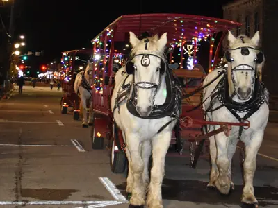 Two white horses pull a covered wagon with Christmas lights on it at Hometown Christmas.