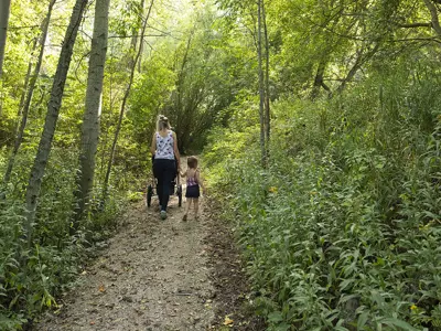 A parent pushes a stroller while holding the hand of a toddler and walking on a trail.